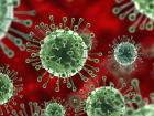 В Тамбовской области рекордное количество заболевших коронавирусом за сутки: 92 человека 