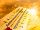 Тамбовчан ждёт рекордная за последние 100 лет жара