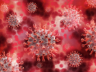 От осложнений, вызванных коронавирусом, скончалось ещё трое тамбовчан