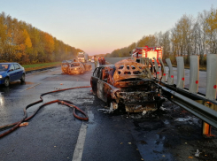 В Тамбовском районе в ДТП сгорело два автомобиля. Один человек скончался