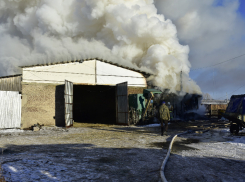В Гавриловском районе в пожаре погибли корова, быки и овцы