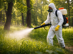 В Тамбове на борьбу с клещами готовы направить миллион рублей