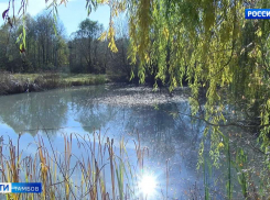 Пруд в районе Ахлебиновской рощи отравлен марганцем