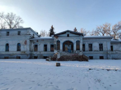 В Мичуринском округе за рубль продают усадьбу предводителя козловского дворянства