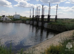 В реке Алёшне утонул 45-летний мужчина