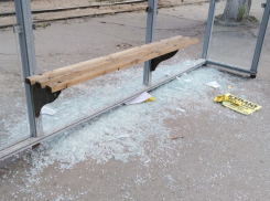 В Мичуринске 41-летняя хулиганка «разнесла» остановку