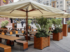 В Тамбове предприниматели смогут разместить летние кафе и веранды бесплатно