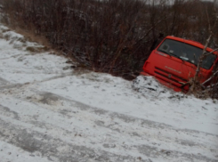 В Тамбовском районе мусоровоз упал в кювет