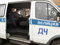19-летние тамбовчане вынесли с дач имущество на 100 тысяч рублей 
