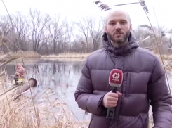 Тамбовский журналист попал на Youtube-шоу «+100500»