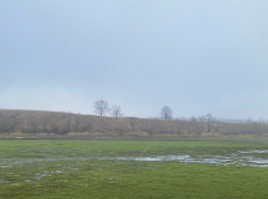 Региональное минэкологии проведёт проверку по факту спуска пруда в Моршанском округе 