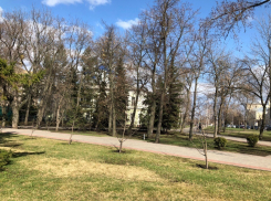 В Тамбов пришла весна