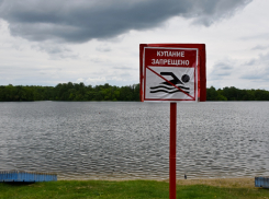 В Тамбове не рекомендуется купаться на четырёх пляжах