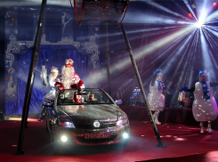 В Тамбове состоялась долгожданная премьера цирка с самым добрым и красивым названием «Счастье», порадовавшая тамбовчан всех возрастов