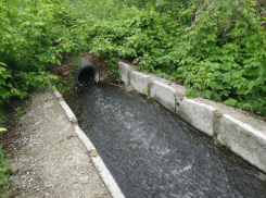 Подтверждён сброс загрязнённых сточных вод в Цну