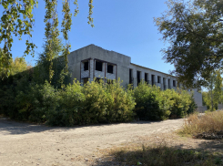 Развалинами бывшего дома культуры «Строитель» в Тамбове займётся прокуратура