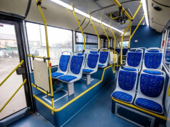 Тамбовская область получит в кредит 400 миллионов рублей на модернизацию общественного транспорта