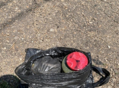 В Сосновском районе обнаружили плантацию конопли