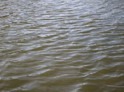 На «Атмановском» пруду утонул мужчина