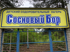 Оздоровительный детский лагерь «Сосновый бор» планируют реконструировать