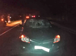 В Тамбовской области пешеход погиб под колёсами автомобиля