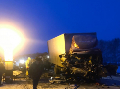 Шесть человек сгорело в ДТП в Знаменском районе