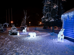 Праздник к нам приходит: какие самые громкие новогодние мероприятия ждут тамбовчан 