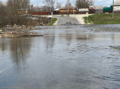 В Тамбовской области из-за затопления село оказалось разрезанным на части