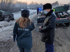 В Тамбовской области в ДТП погибли мать и 4-летний ребёнок