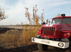 В Мучкапском районе поймали с поличным поджигателя травы