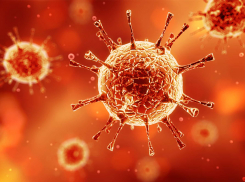 В Тамбовской области за сутки 66 человек заболели коронавирусом