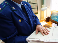 Чиновники трёх сельсоветов Петровского района намеренно занизили уровень своих доходов 