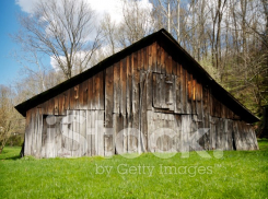 В Тамбове ищут собственников  бесхозных сараев в центре города