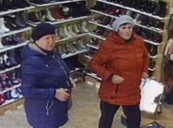 Престарелые аферистки снова вышли «на тропу войны»: на этот раз пострадали доверчивые продавцы Котовска 
