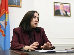 Вице-губернаторы идут на выборы: Сытова заявилась на праймериз