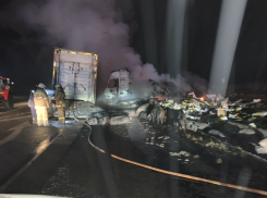 В Тамбовской области произошло лобовое столкновение двух тягачей: фуры загорелись, один из водителей в больнице