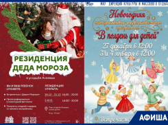 Афиша последних декабрьских выходных