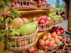 1 млрд рублей будет вложен в туркластер «Мичуринский» 