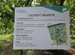 Благоустроителя Пионерского парка Тамбова трижды внесли в «чёрный список» поставщиков 