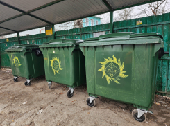 Тамбовчанам напомнили, как избежать свалок на контейнерных площадках