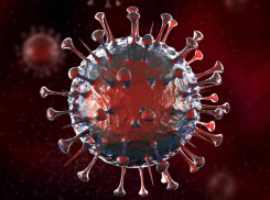 В Тамбовской области за сутки коронавирус выявлен ещё у 99 человек
