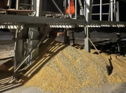 В Сосновском районе двух рабочих насмерть засыпало кукурузой