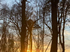 Третья рабочая неделя марта в Тамбове будет морозной