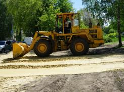 В Тамбове начали оборудовать первую площадку для выгула собак