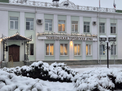 В Тамбове приняли бюджет города с профицитом 