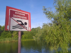 12 тамбовских пляжей не годятся для купания