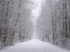 На текущей неделе в Тамбове будет тепло и пасмурно