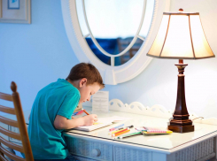 В Тамбовской области не все дети могут учиться дистанционно