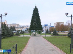 В Тамбове 1 декабря откроют новогоднюю ёлку на «Пигменте»