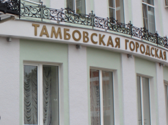 В Тамбове вновь приняли городской бюджет-2024 с профицитом